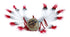 Native American Navajo Indian Eagle Kachina Doll SX10058